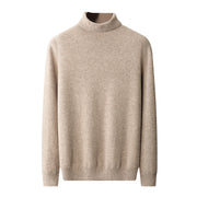 Men's high collar pullover sweater for autumn and winter